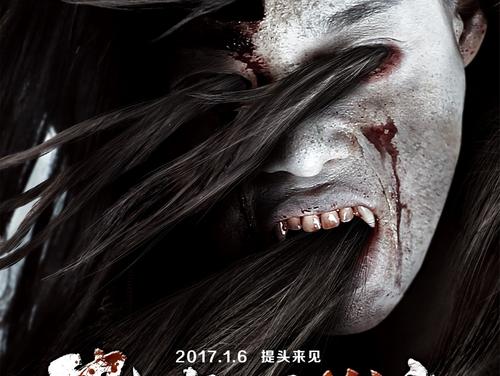 高中毕业证编号在哪里查询